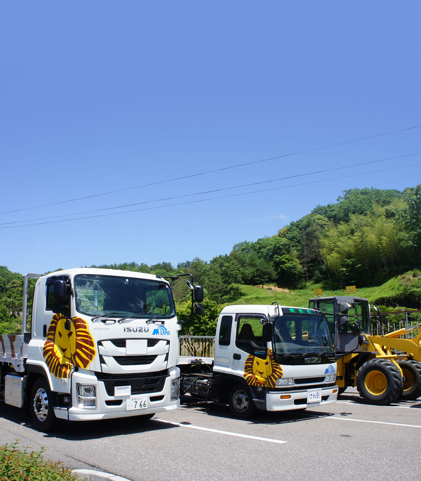 プロ免許 特車 二種 料金 プラン詳細 公式 Mランド益田校 アミューズメント教習所